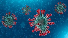 coronavirus1.jpg