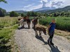 Montagnaterapia, Parma e Cuneo insieme sulle Alpi piemontesi con la “Carovana della mente”