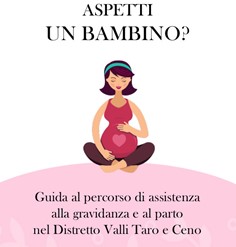 percorso assistenza gravidanza 