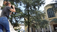 Scatto esterno CdC San Secondo