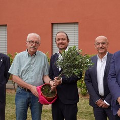 Ulivo per il centro dialisi