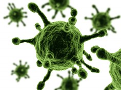 virus