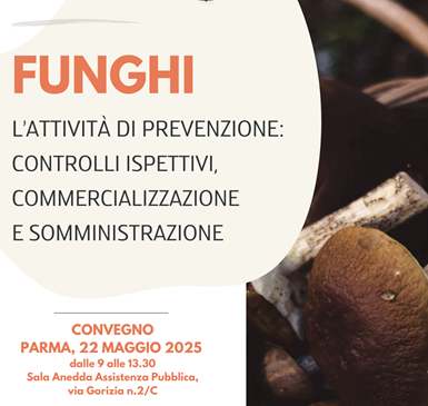 convegno funghi 1.png