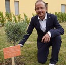 Fantini e ulivo con targa